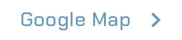 googleMap